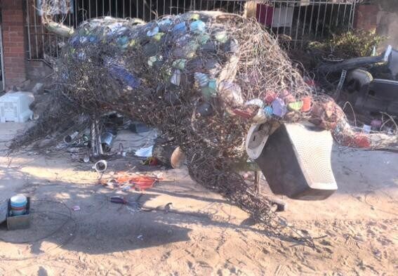 Life-size buffalo built from tangled wire and bottle caps in the studio yard
